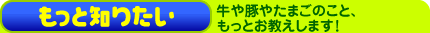 もっと知りたい！
